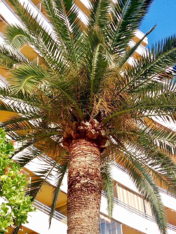 Voramar Apartman Calpe Kültér fotó
