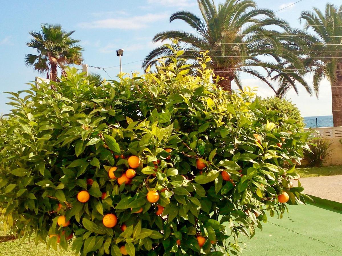 Voramar Apartman Calpe Kültér fotó